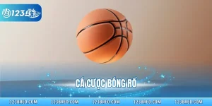 Cá Cược Bóng Rổ - Nắm Vững Quy Luật Và Các Tỷ Lệ Cược